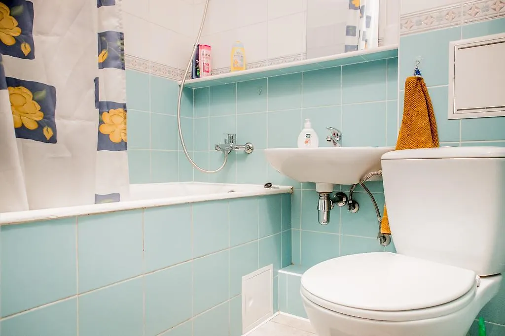 Apartment on Raisy Okipnoi 5 Kiev